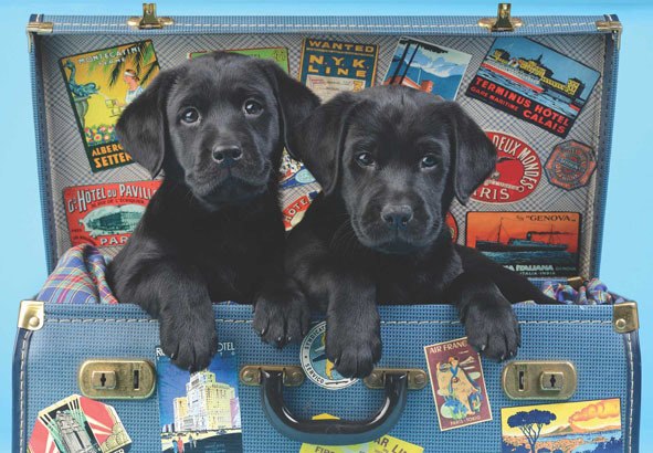 Travel Labs - 500pc Jigsaw Puzzle by Anatolian  			  					NEW