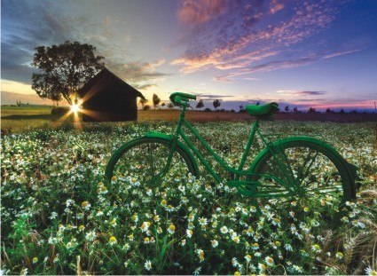 Tour de France - 1000pc Jigsaw Puzzle by Anatolian