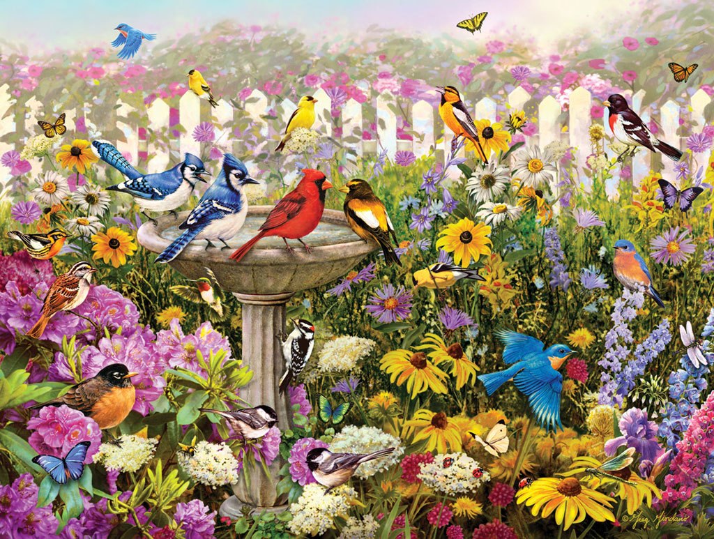 Birds of Summer - 550pc Jigsaw Puzzle By White Mountain