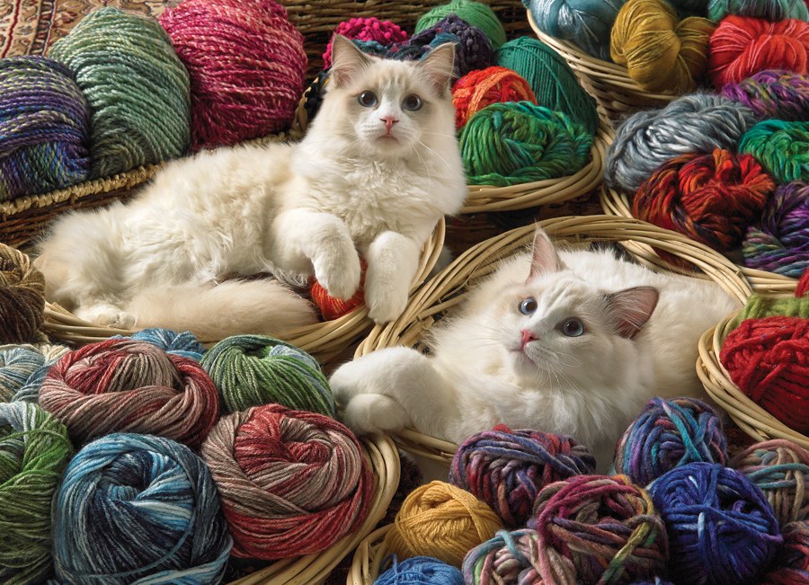 Ragdolls - 1000pc Jigsaw Puzzle by Jack Pine