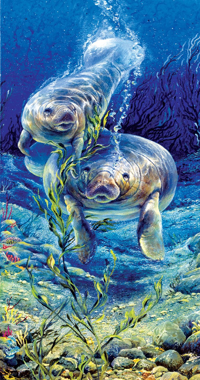 Manatee Dive - 500pc Jigsaw Puzzle by Sunsout