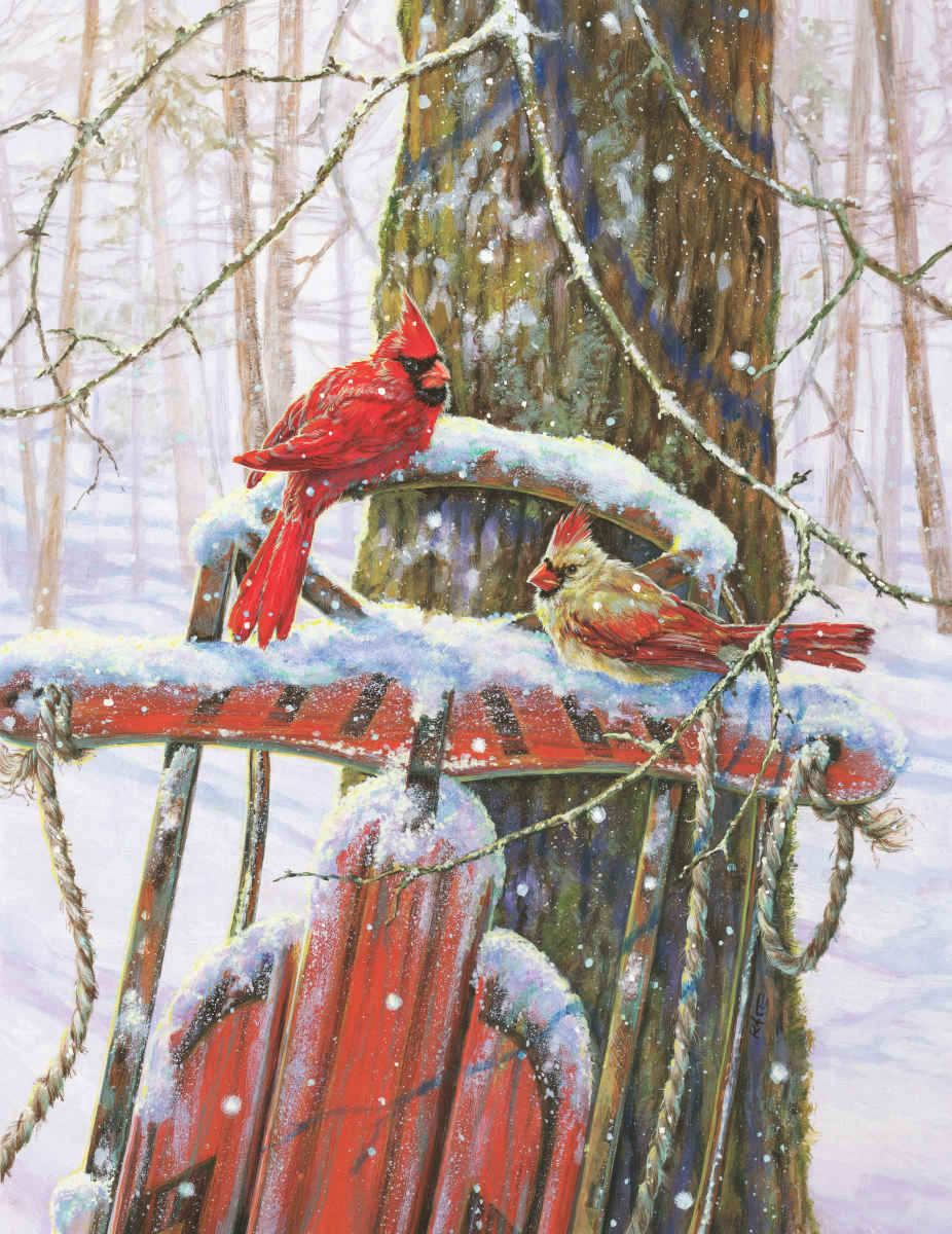 Peaceful Moments - 500pc Jigsaw Puzzle By Springbok