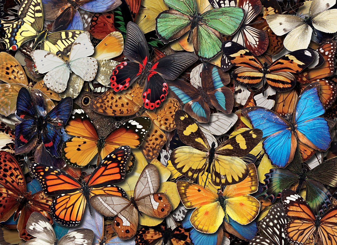 Flying Colors - 500pc Jigsaw Puzzle By Tomax
