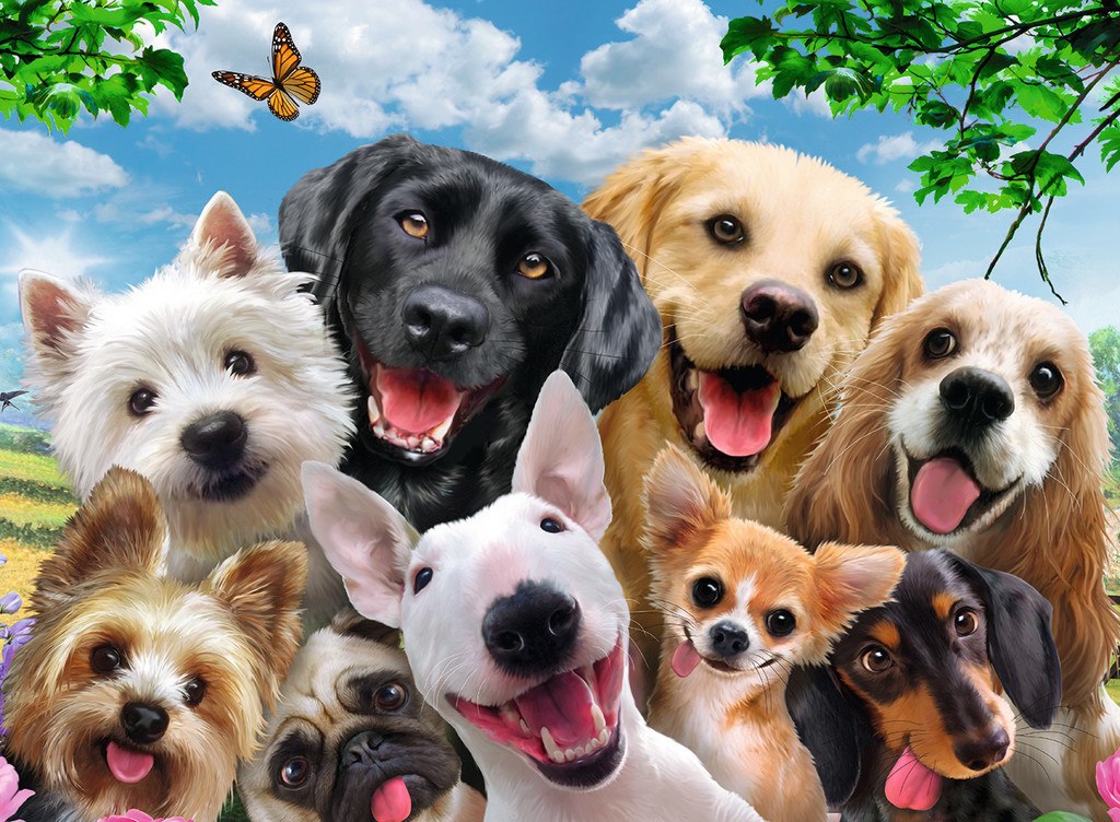 Delighted Dogs - 300pc Jigsaw Puzzle By Ravensburger