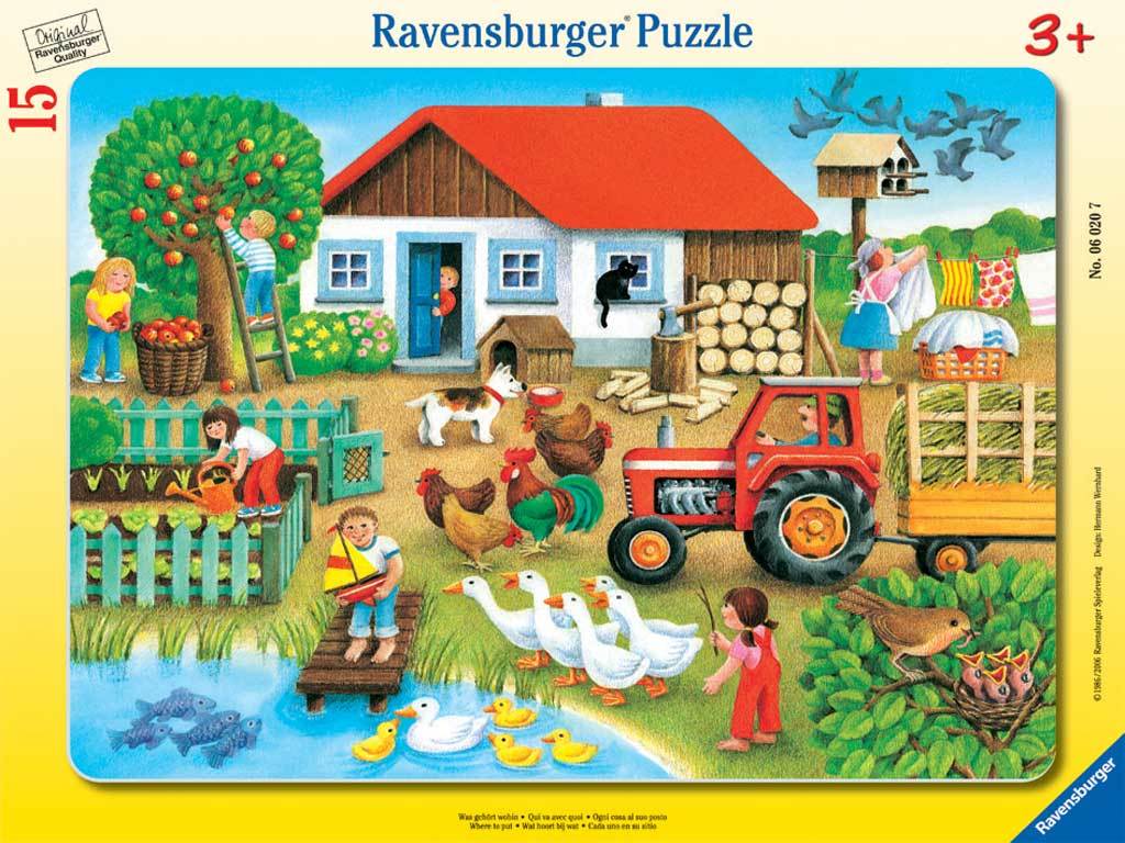 Where to Put it - 15pc Frame Puzzle For Kids By Ravensburger