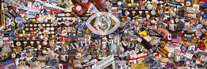 MLB Fan Collectibles - 1000pc Panoramic Jigsaw Puzzle by Masterpieces