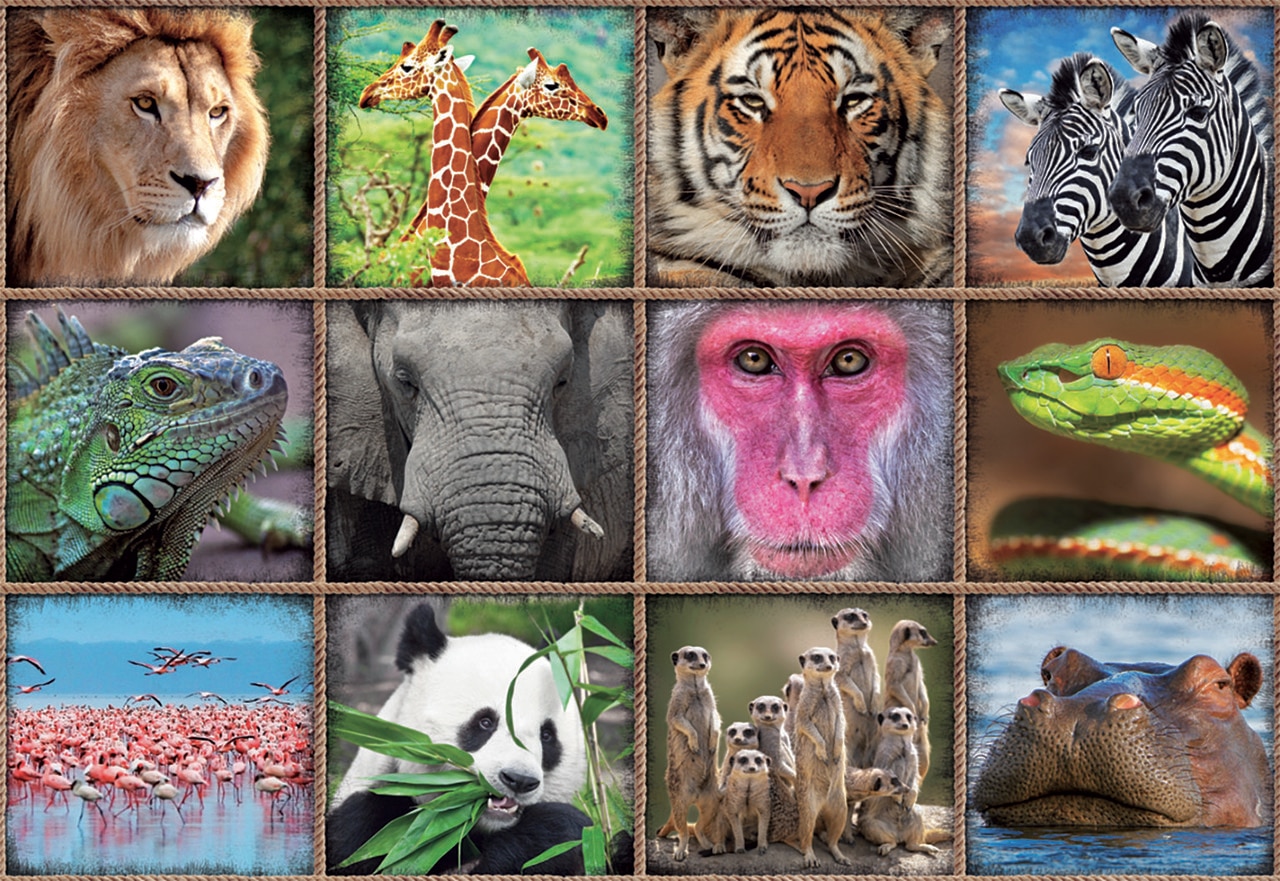 Wild Animals Collage - 1000pc Jigsaw Puzzle by Educa  			  					NEW