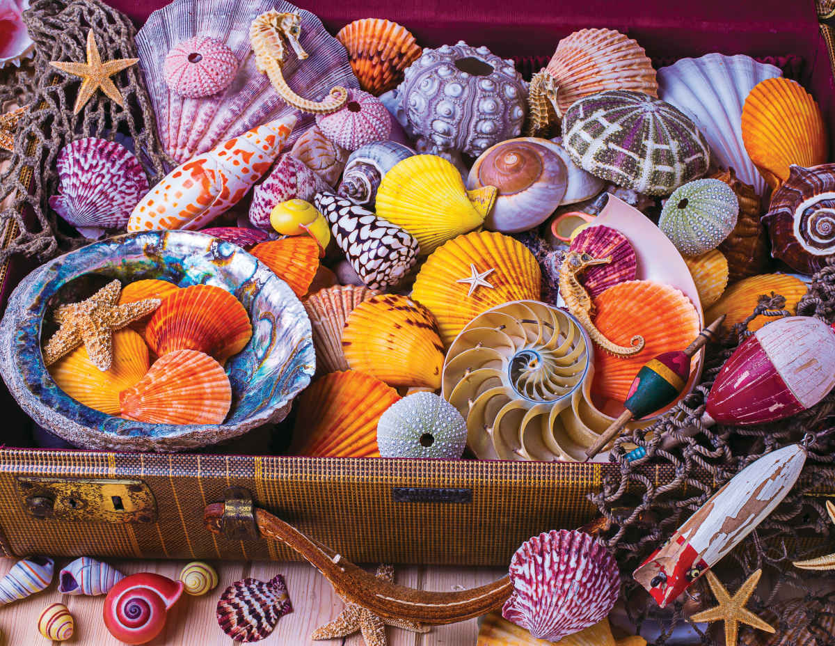 Vacation Treasures - 350pc Jigsaw Puzzle by Springbok  			  					NEW