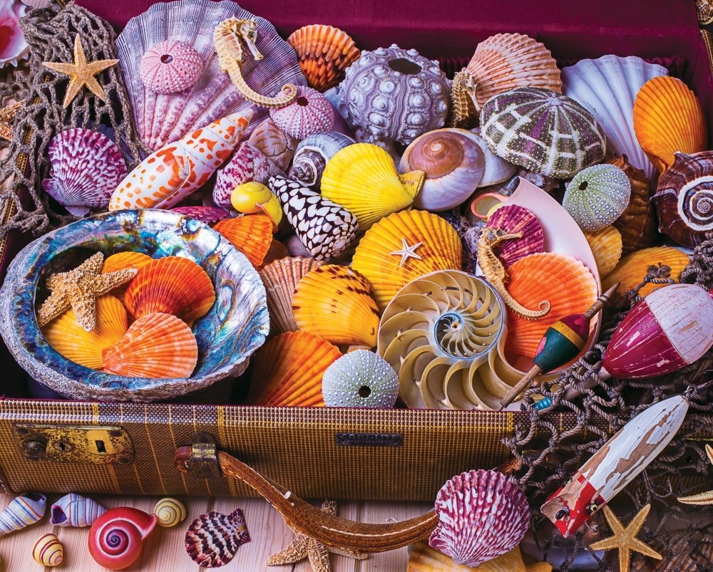 Vacation Treasures - 1500pc Jigsaw Puzzle by Springbok