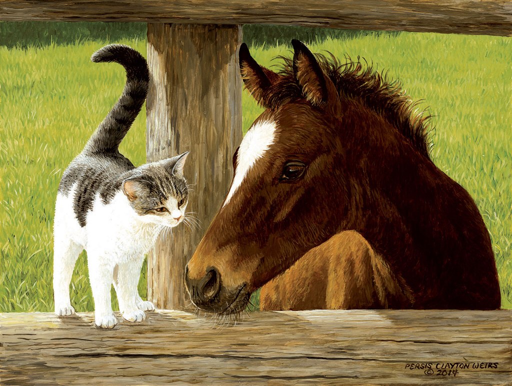 Whiskery Hello - 500pc Jigsaw Puzzle by Sunsout