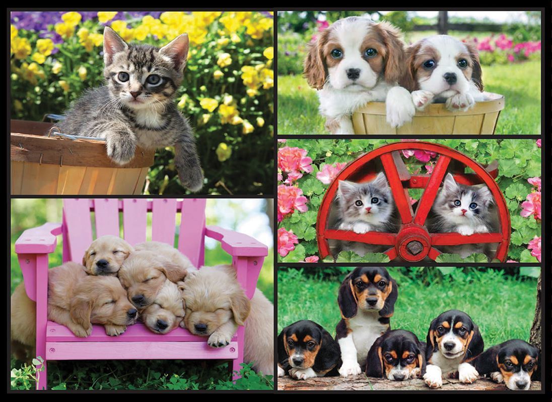 Kodak: Kittens & Puppies - 550pc Jigsaw Puzzle by Lafayette Puzzle Factory  			  					NEW