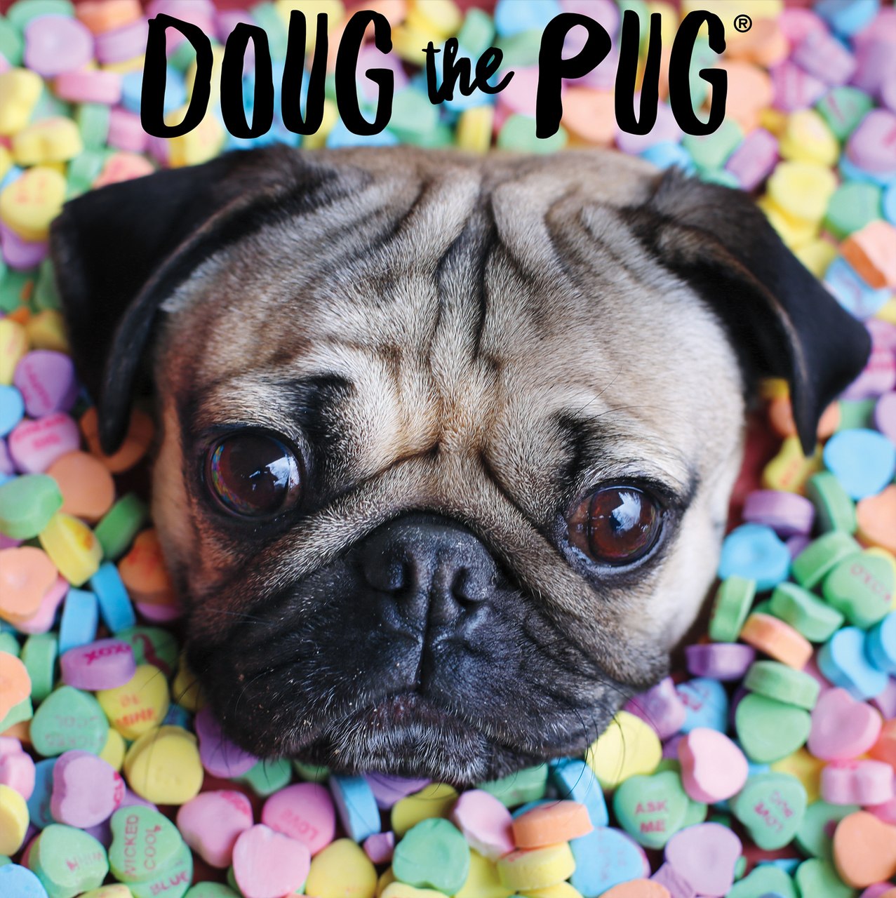 Doug's Sweet Tooth - 300pc Large Format Jigsaw Puzzle by Buffalo Games  			  					NEW