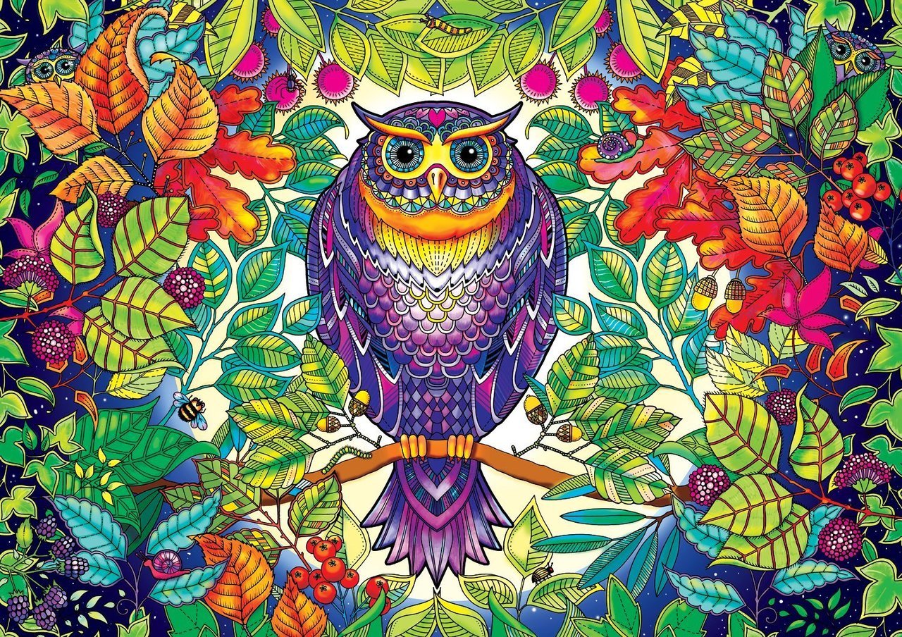SECRET GARDEN: Johanna Basford FOREST OWL - 500pc Coloring Book Jigsaw Puzzle by Buffalo Games