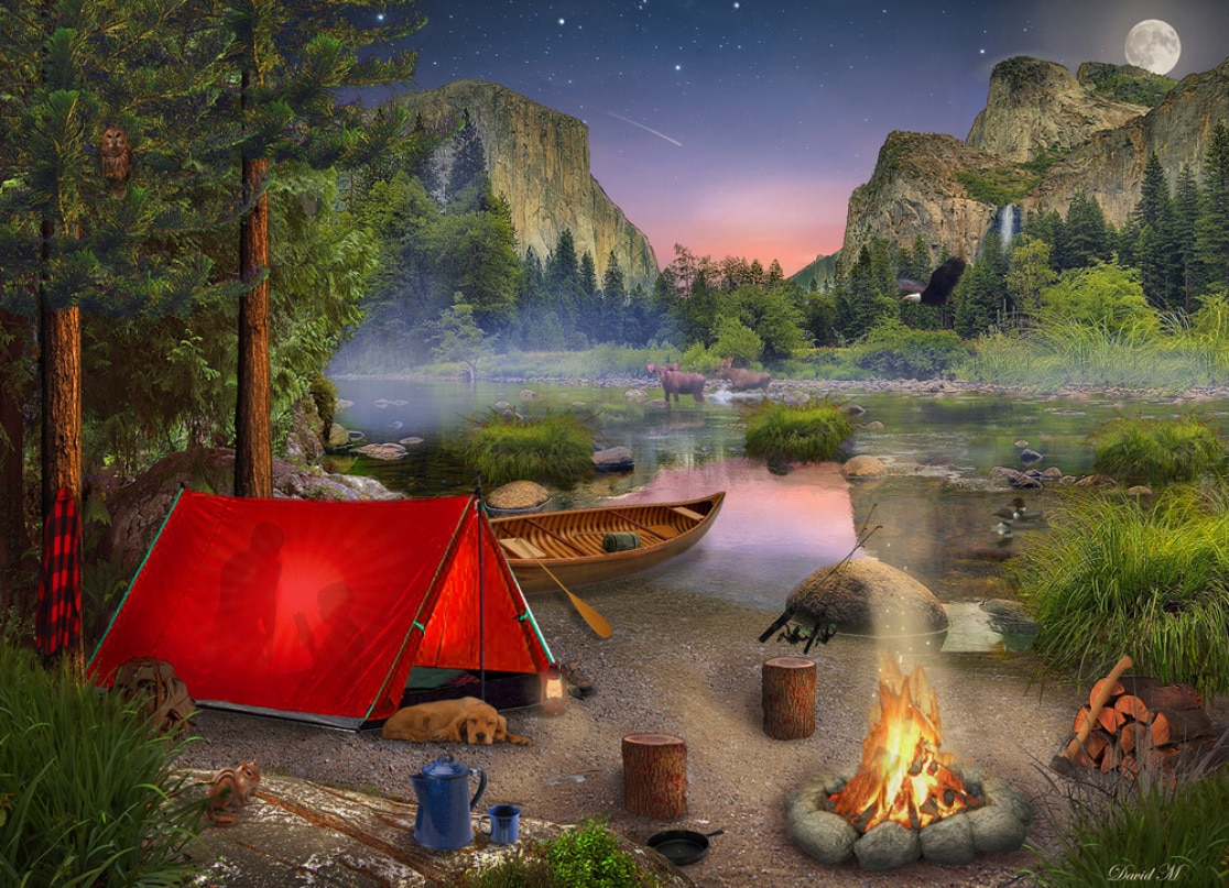 Wilderness Trip - 1000pc Jigsaw Puzzle by Vermont Christmas Company  			  					NEW