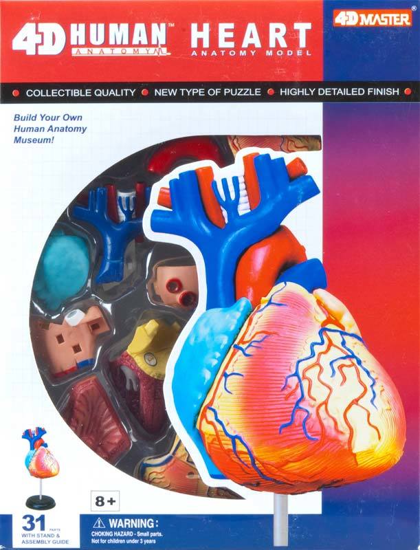 Human Heart - 31pc 4D Human Anatomy Puzzle
