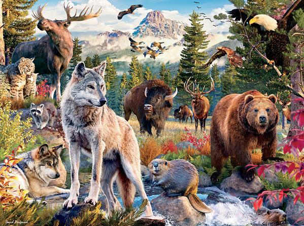 Wild: American Animals - 1000pc Jigsaw Puzzle by Ceaco  			  					NEW