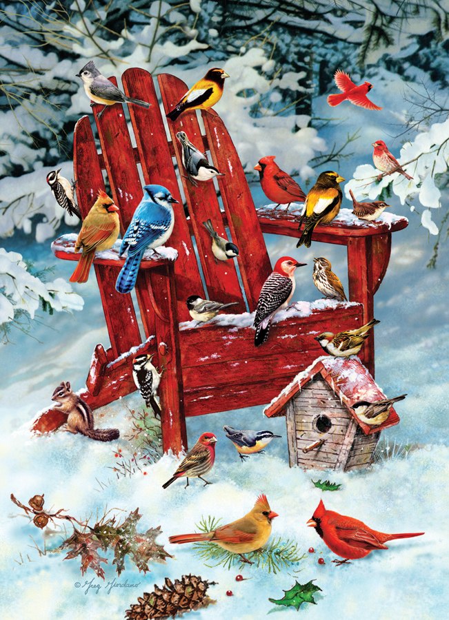Adirondack Birds - 1000pc Jigsaw Puzzle by Jack Pine