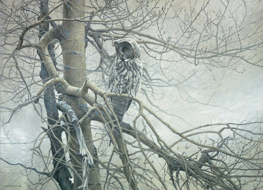 Ghost of the North - 1000pc Jigsaw Puzzle By Cobble Hill  			  					NEW
