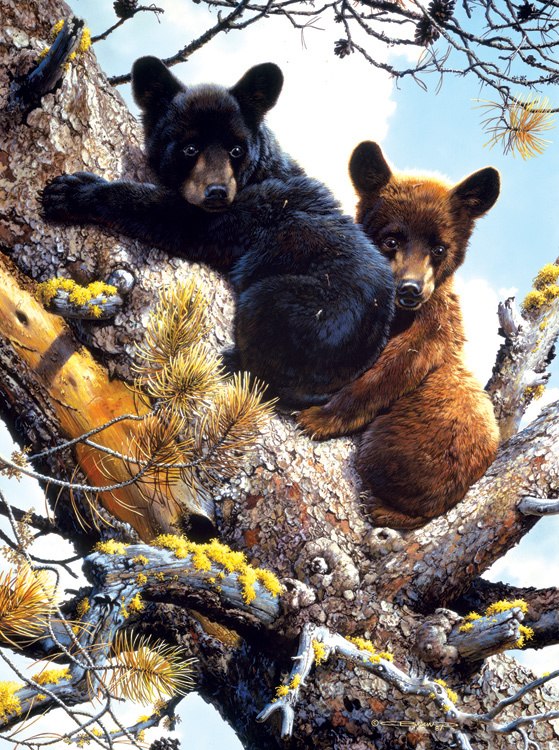High Adventure - 1000pc Jigsaw Puzzle By Sunsout