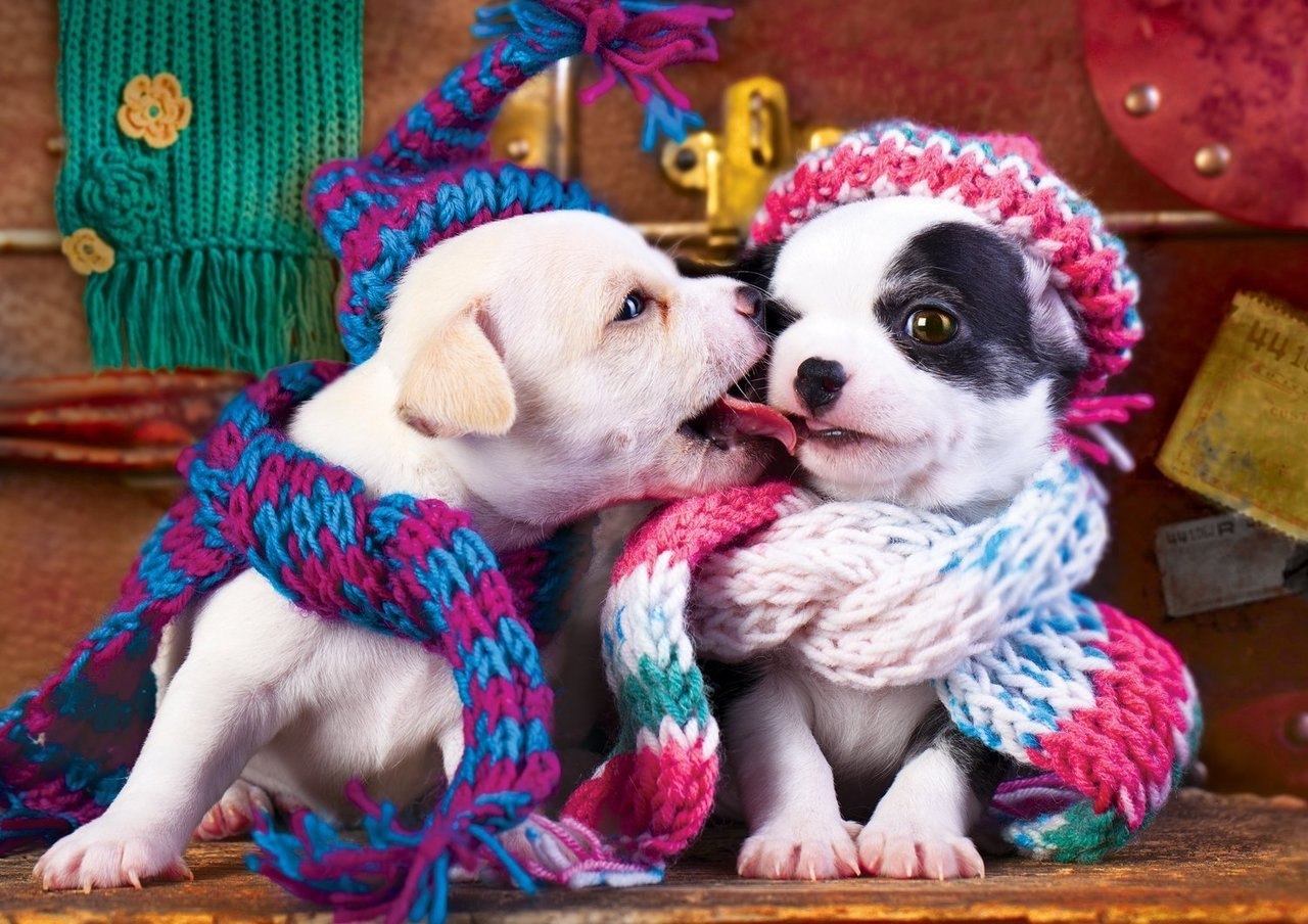 Best Friends - 300pc Jigsaw Puzzle by Buffalo Games