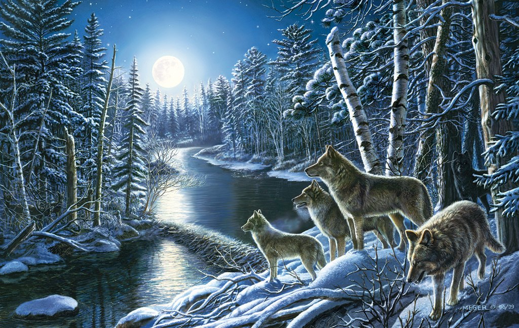 Silent Shadows - 550pc Jigsaw Puzzle by Sunsout