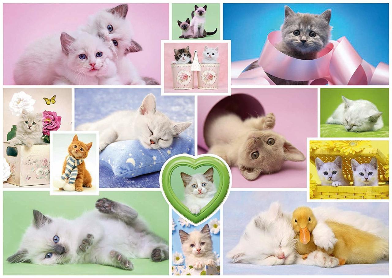 Cuddly Cats - 1000pc Jigsaw Puzzle by Schmidt  			  					NEW