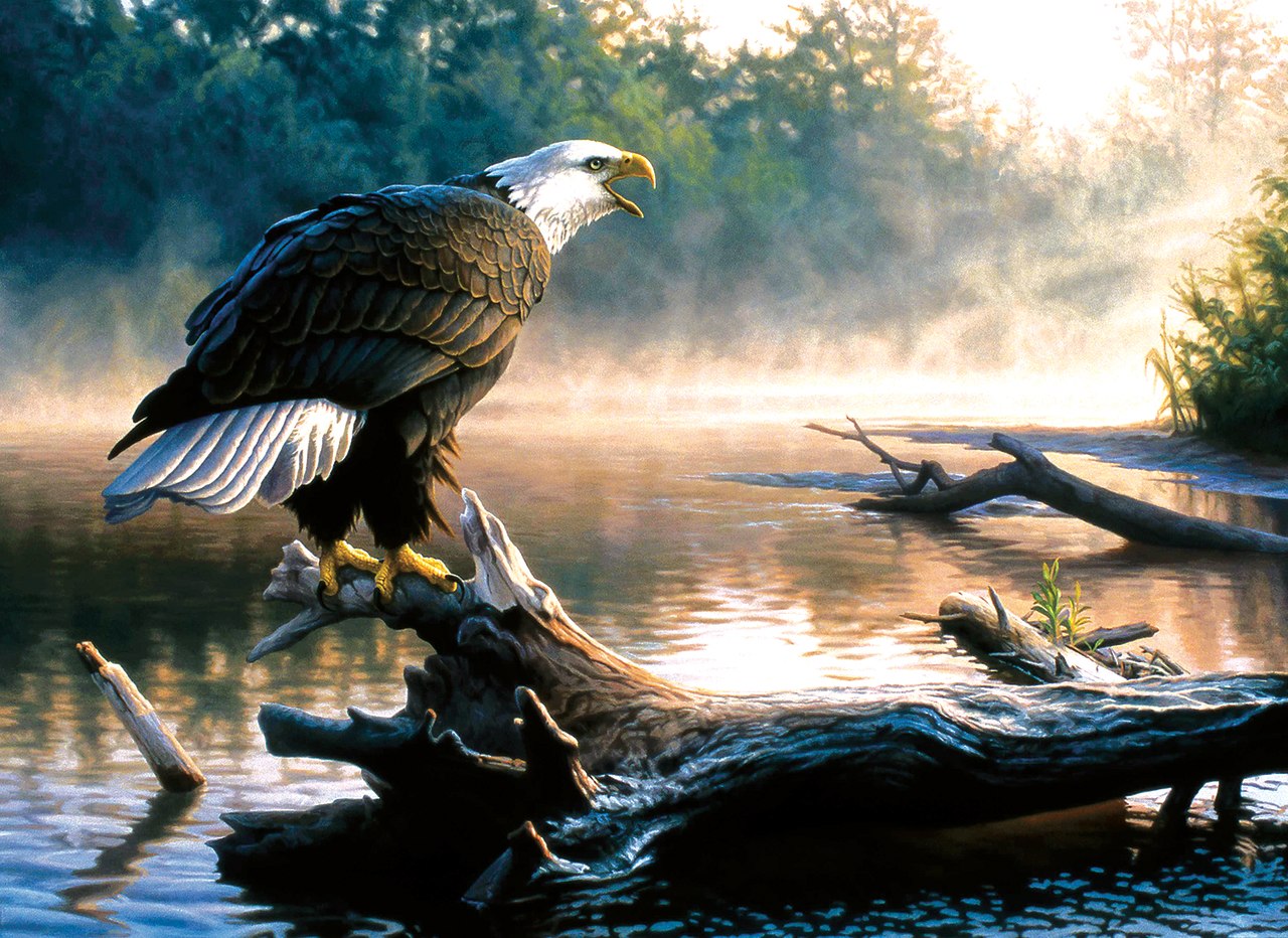 Scouting the River - 1000pc Jigsaw Puzzle by Sunsout  			  					NEW