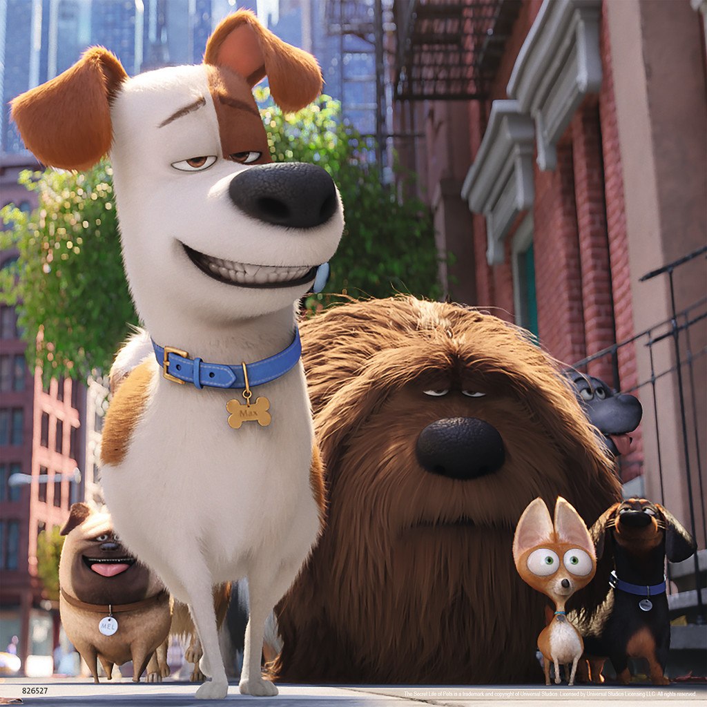 Secret Life of Pets - 3 x 49pc Jigsaw Puzzles By Ravensburger