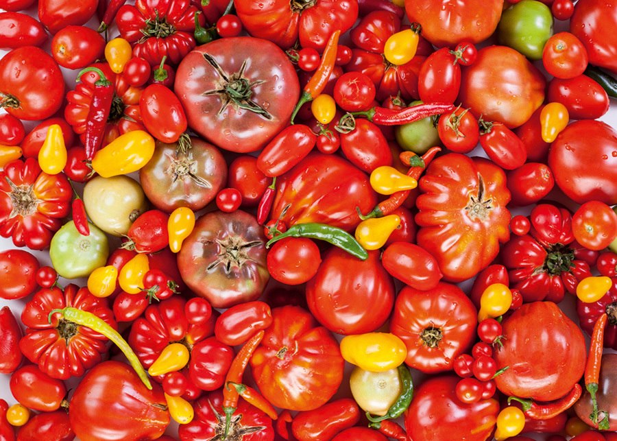 Tomatoes - 1000pc Jigsaw Puzzle by D-Toys