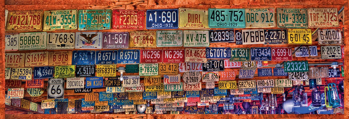 License to Drive - 500pc Jigsaw Puzzle By Sunsout  			  					NEW