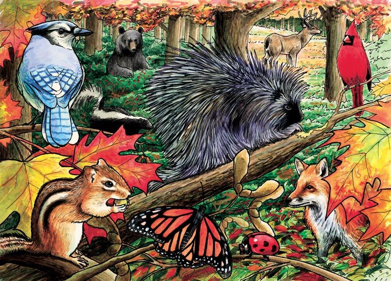 Eastern Woodlands - 35pc Tray Puzzle by Cobble Hill