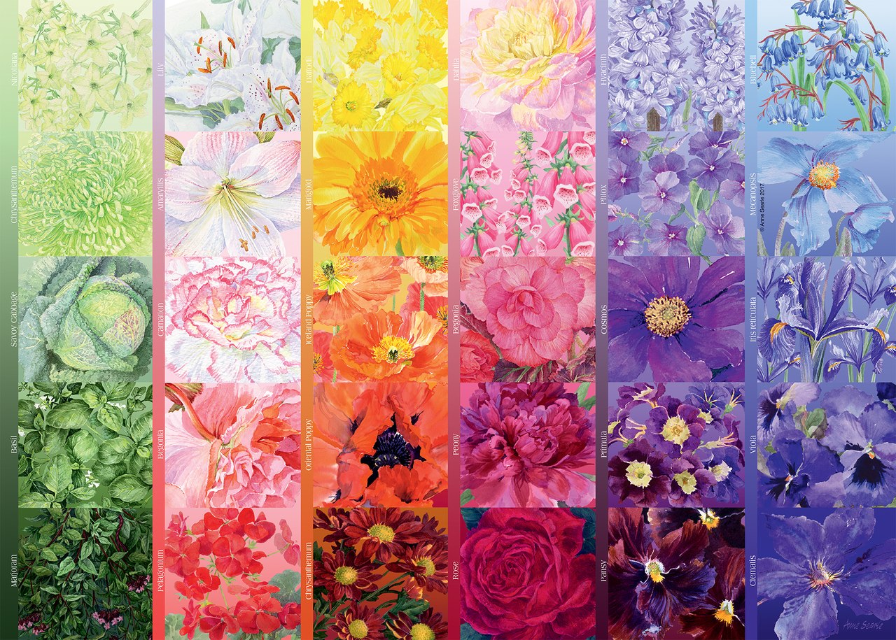 The Gardener's Palette No. 1 - 1000pc Jigsaw Puzzle By Ravensburger  			  					NEW
