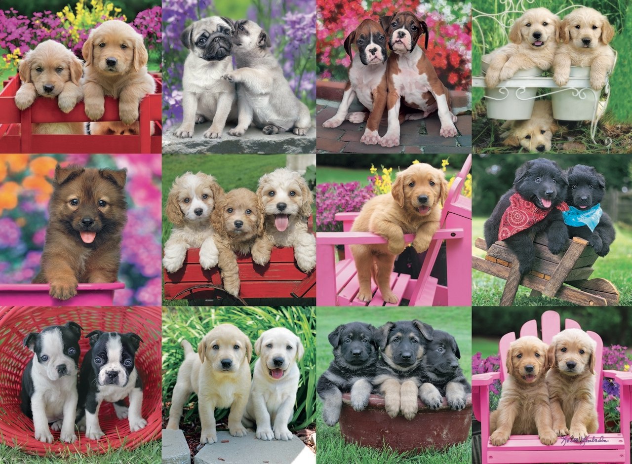 Puppy Pals - 500pc Jigsaw Puzzle by Ravensburger