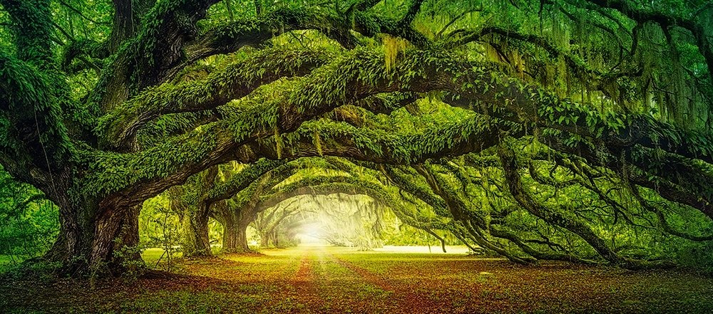 Passage - 600pc Jigsaw Puzzle By Castorland  			  					NEW