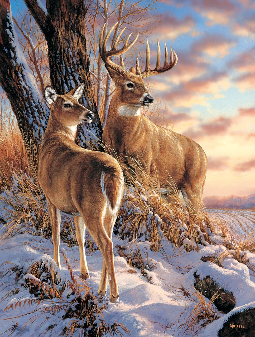 Escapade - 500pc Jigsaw Puzzle By Sunsout  			  					NEW