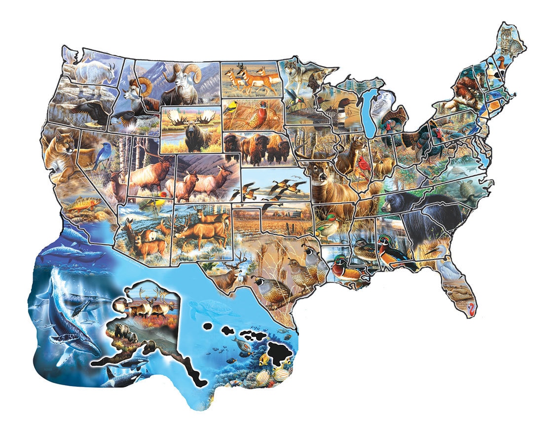 Wild America - 600pc Shape Jigsaw Puzzle by SunsOut