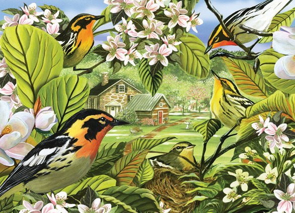 Blackburnian Warblers - 500pc Jigsaw Puzzle By Cobble Hill
