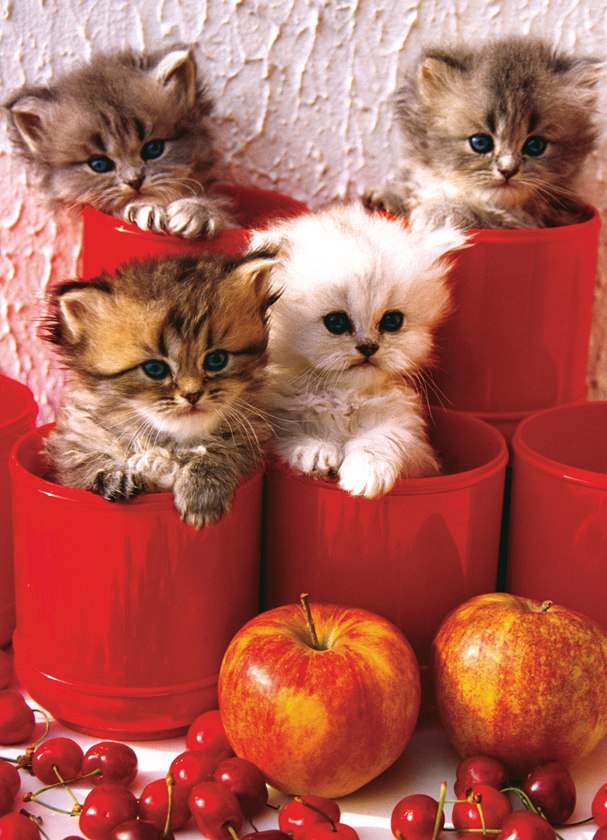 Kittens in Pots - 1000pc Jigsaw Puzzle by Eurographics