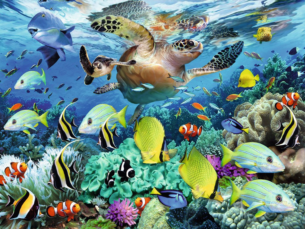 Underwater Paradise - 150pc Jigsaw Puzzle by Ravensburger