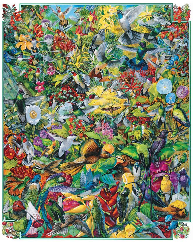 Hummingbirds - 1000pc Jigsaw Puzzle by White Mountain