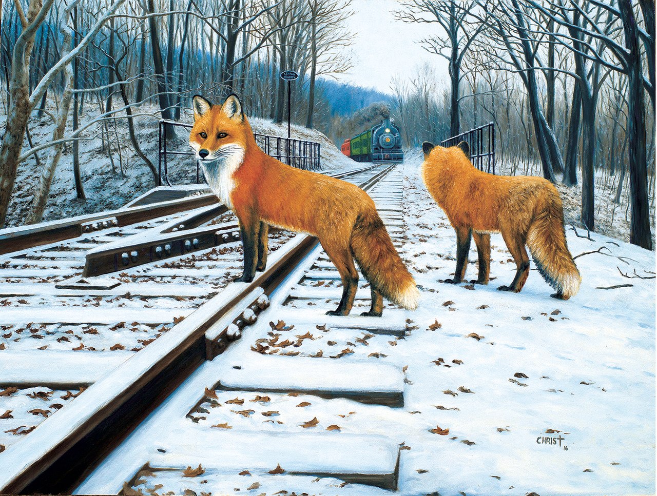 Fox Tracks - 300pc Jigsaw Puzzle By Sunsout  			  					NEW