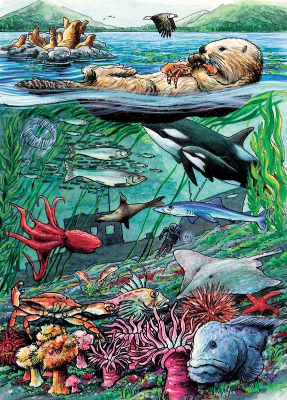Life on the Pacific Ocean - 35pc Tray Puzzle by Cobble Hill