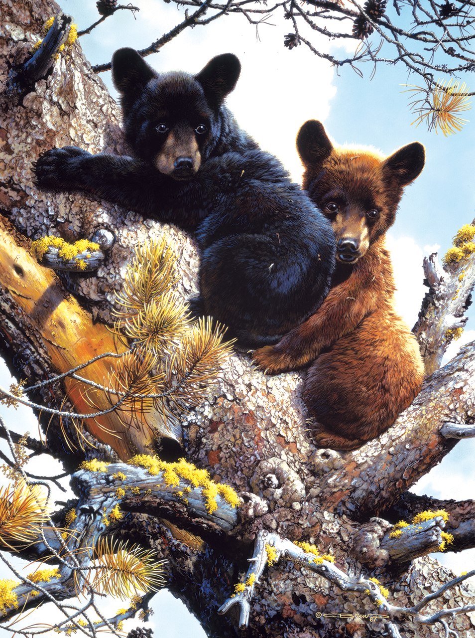 Adventure in the treetops - 300pc Jigsaw Puzzle by Sunsout  			  					NEW