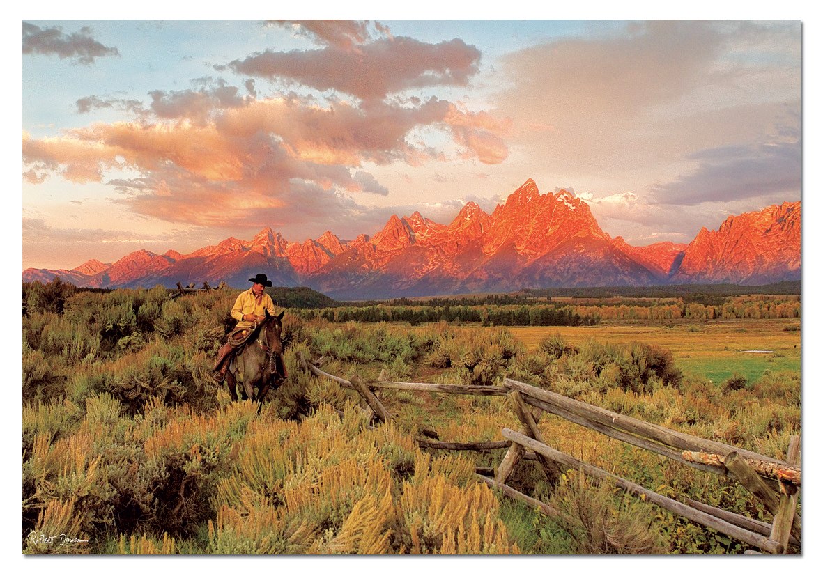 Robert Dawson: Riding Fences - 1000pc Jigsaw Puzzle by Educa