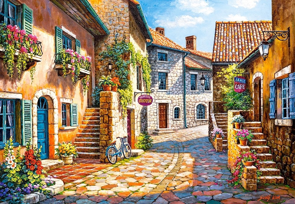 Rue de Village - 1000pc Jigsaw Puzzle By Castorland  			  					NEW