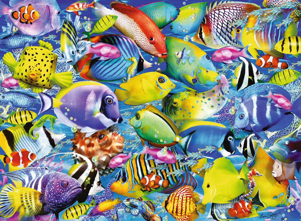 Tropical Traffic - 500pc Jigsaw Puzzle By Ravensburger  			  					NEW