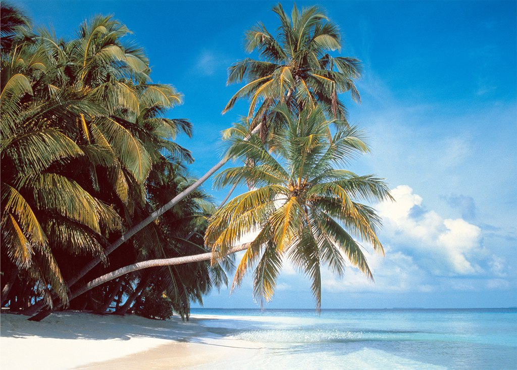 Maldive Island - 2000pc Jigsaw Puzzle by Tomax