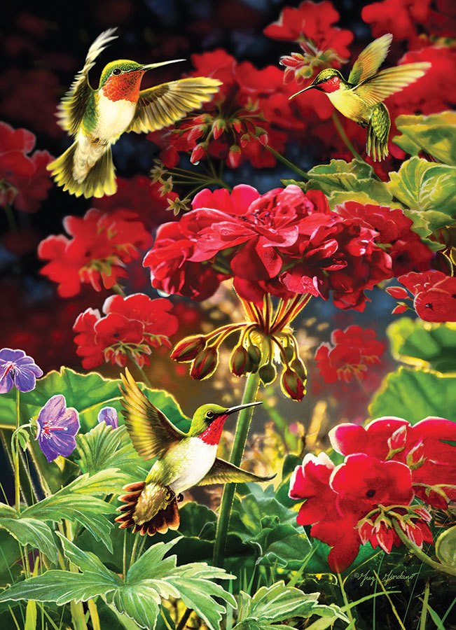 Ruby Geraniums - 1000pc Jigsaw Puzzle by Cobble Hill