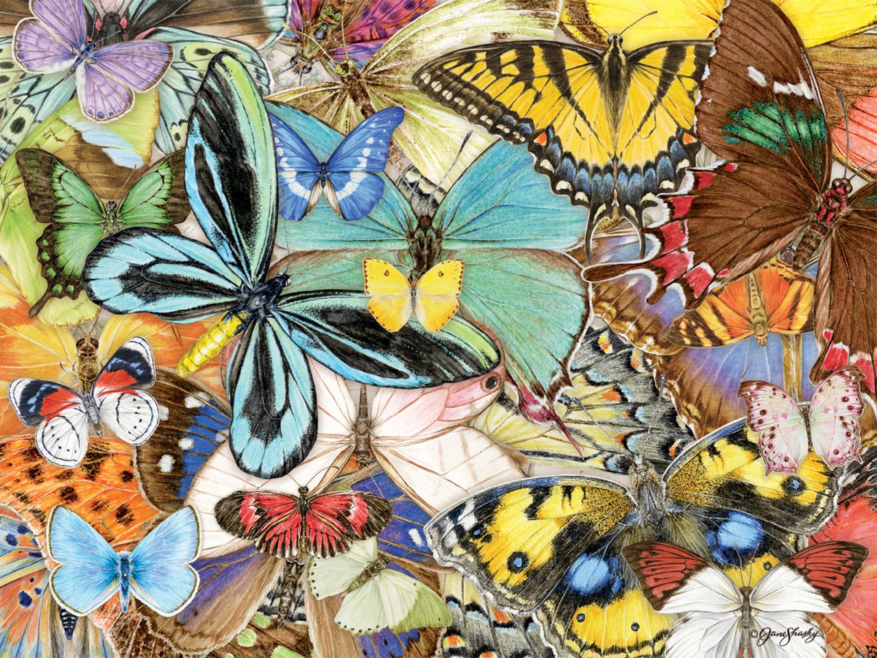Butterfly Dreams - 500pc Jigsaw Puzzle by Lang  			  					NEW