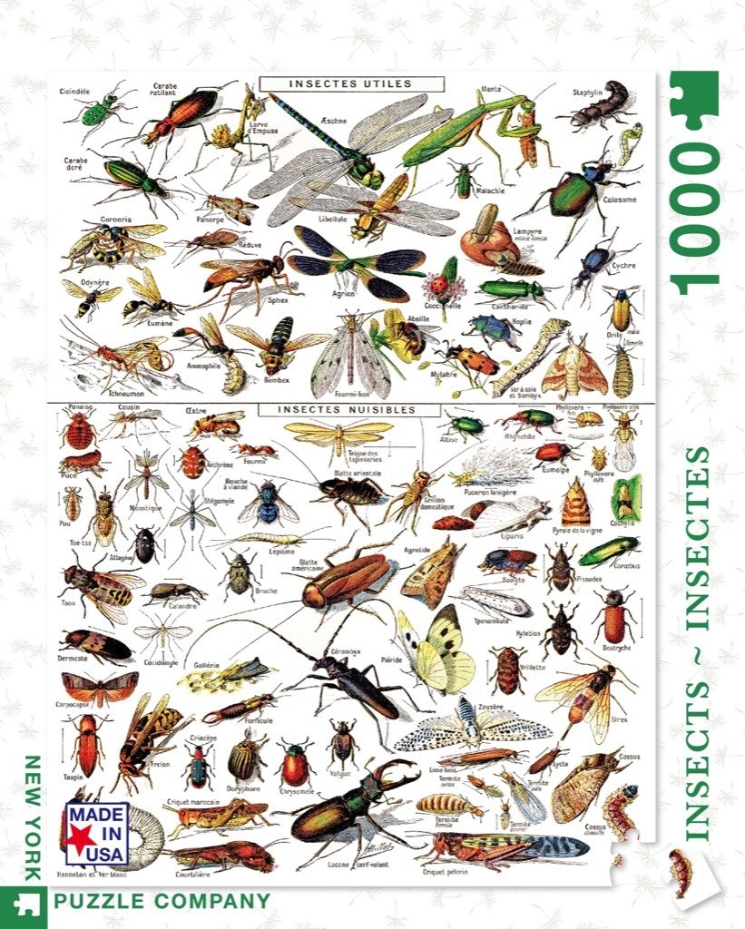 Insects ~ Insectes - 1000pc Jigsaw Puzzle by New York Puzzle Company  			  					NEW - image 1